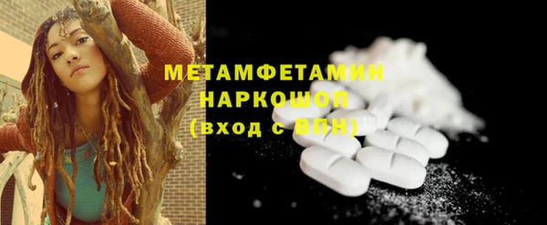 гидра Надым