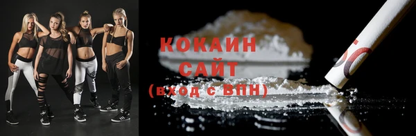гидра Надым