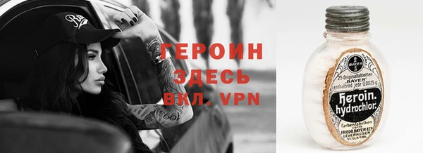 прущие грибы Наволоки