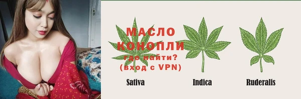 прущие грибы Наволоки