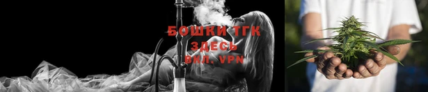 гидра Надым