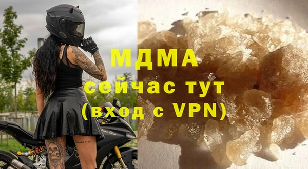 гидра Надым