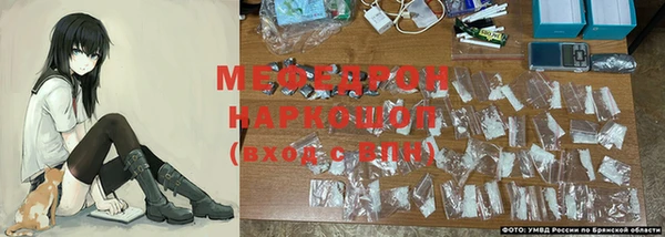 прущие грибы Наволоки