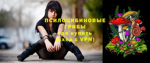 PSILOCYBIN Нефтегорск