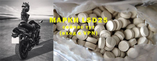 PSILOCYBIN Нефтегорск