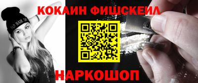 гашик Камышлов