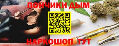 гашик Камышлов