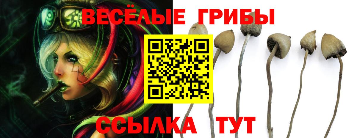 Галлюциногенные грибы ЛСД Красногорск